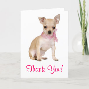 Gracias Chihuahua Cuppy Dog Tarjeta De Saludo