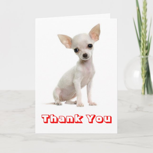 Gracias Chihuahua Perro Perro Cómplice, Tarjeta De (Anverso)