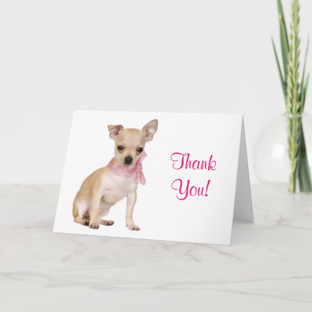 Gracias Chihuahua Perro Perro Cómplice, Tarjeta De (Anverso)