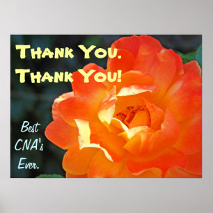 ¡Gracias! CNA impresiones de arte pósters Mejor En