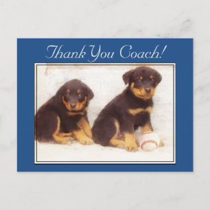 Gracias Coach Rottweiler cachorros postal