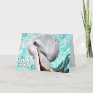 Gracias Con Tarjeta Sonriente Para Delfines