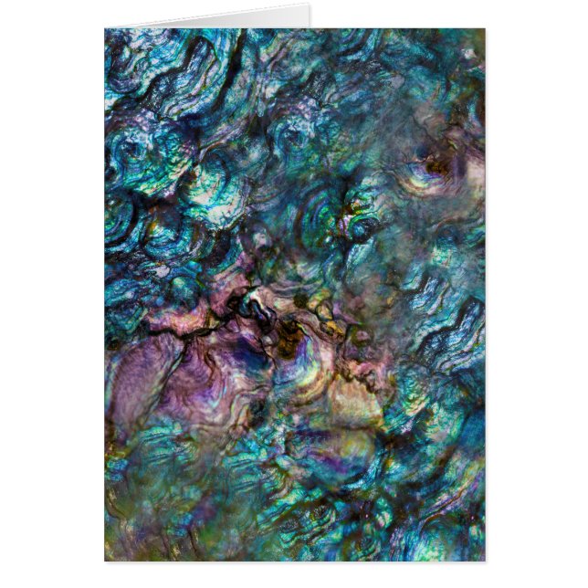 Gracias, concha arcoiris irlandés en el mar de Aba (Frente)