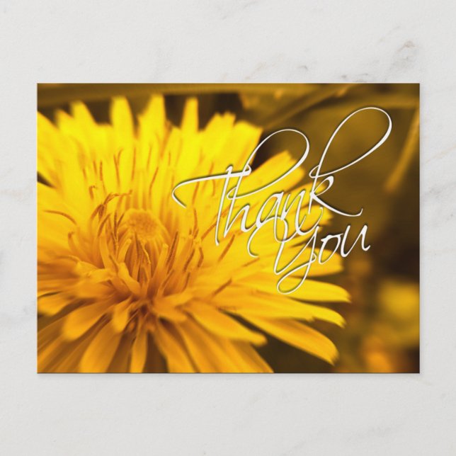 Gracias, Dandelion, tarjeta postal de flores amari (Anverso)