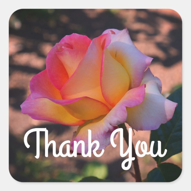 Gracias Elle Rosa #1 Pegatinas (Anverso)