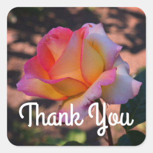 Gracias Elle Rosa #1 Pegatinas