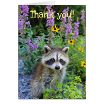 Gracias entre las flores