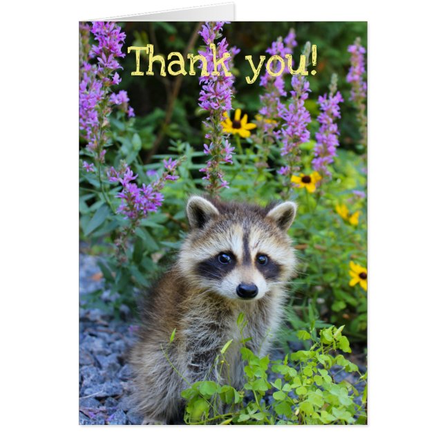 Gracias entre las flores (Frente)