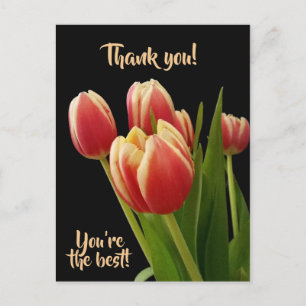 Gracias, Eres la Mejor Tarjeta Postal Con Tulipane