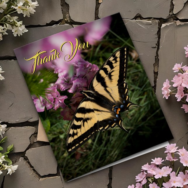 Gracias Floral de verano rosada de mariposa de col (Pretty Tiger Swallowtail butterfly garden thank you card nature photo with pink flowers)