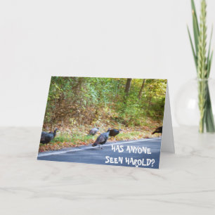 GRACIAS, HAROLD LA tarjeta TURKEYS DESAPARECIDA