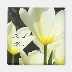 ¡Gracias! imán Amarillo Blanco Flores de Tulipán J