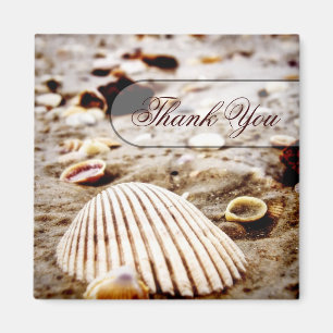 Gracias imán de la playa de los Seashells