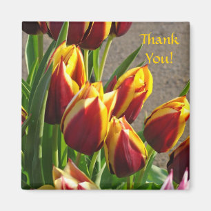 ¡Gracias! imán Rojo Amarillo Tulipán Jardín Flores