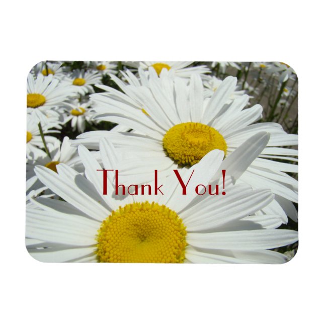 ¡Gracias! imanes premium Flores Margaritas Margari (Horizontal)