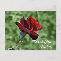 Gracias, Jessica! Tarjeta postal
