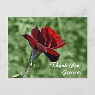 Gracias, Jessica! Tarjeta postal