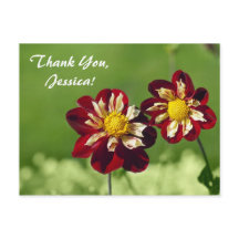 ¡Gracias, Jessica! Tarjeta postal