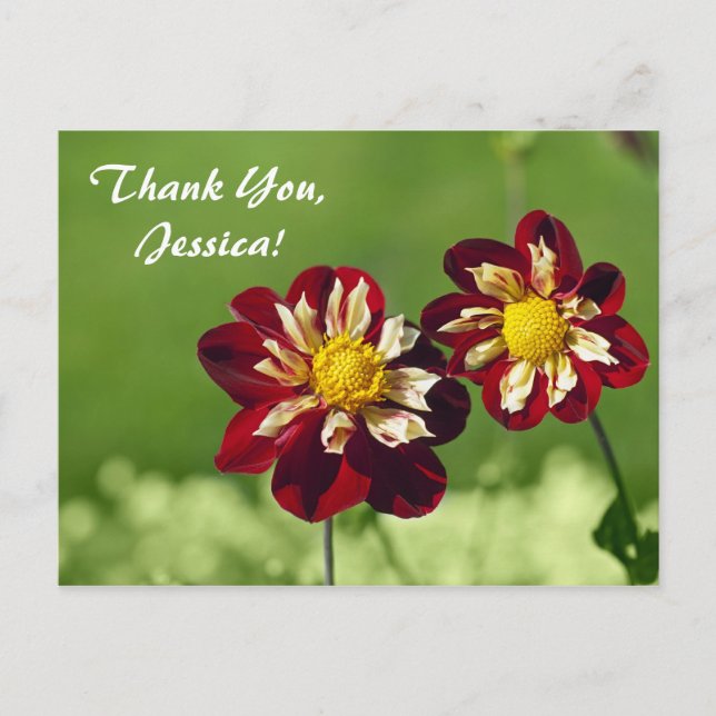 ¡Gracias, Jessica! Tarjeta postal (Anverso)
