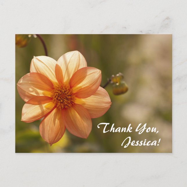 ¡Gracias, Jessica! Tarjeta postal (Anverso)