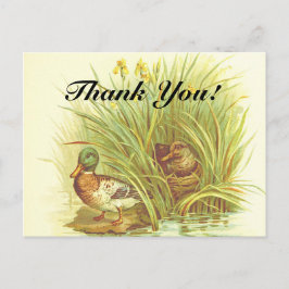 "¡Gracias!" + Patos cerca de la postal de agua