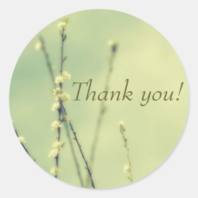 Gracias! Pegatina (Anverso)