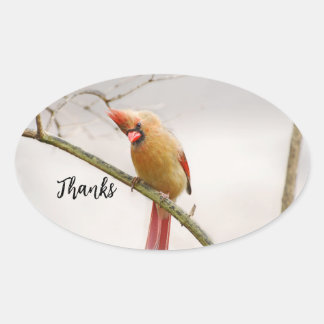 Gracias pegatina oval