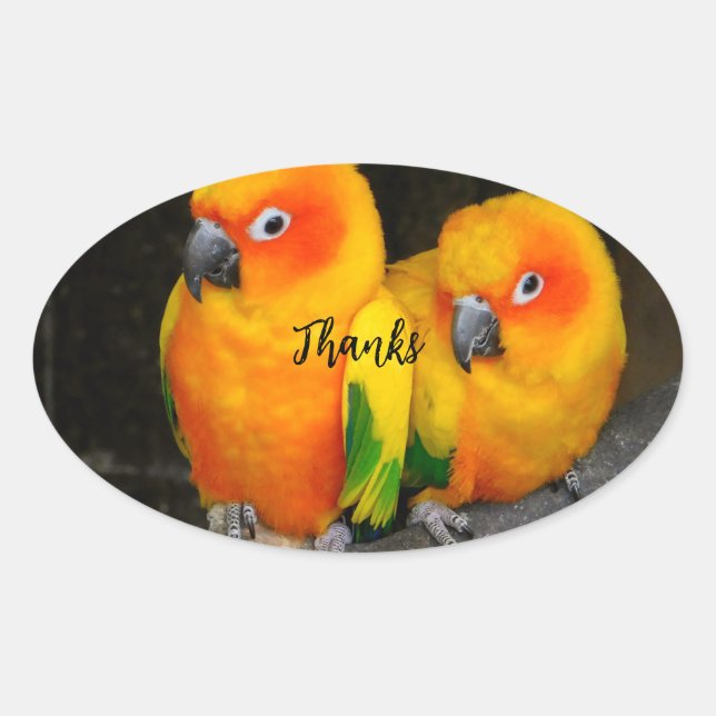 Gracias pegatina oval (Anverso)