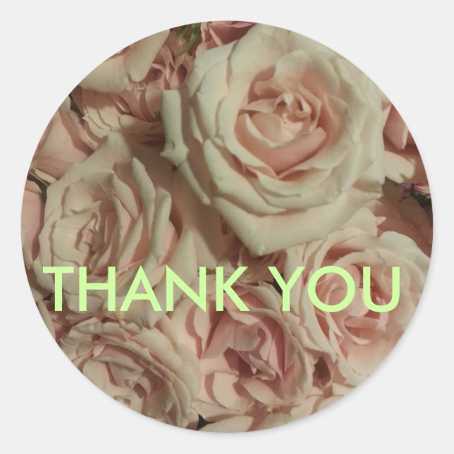 Gracias pegatina rosa de fondo rosa rosa rosado (Anverso)