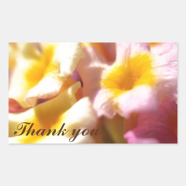 Gracias pegatinas (Anverso)