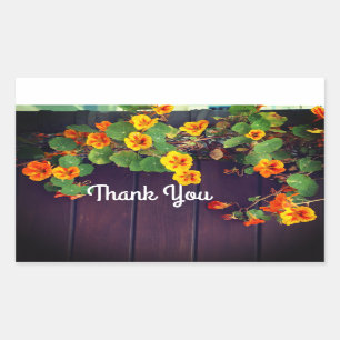 Gracias Pegatinas de Nasturtium