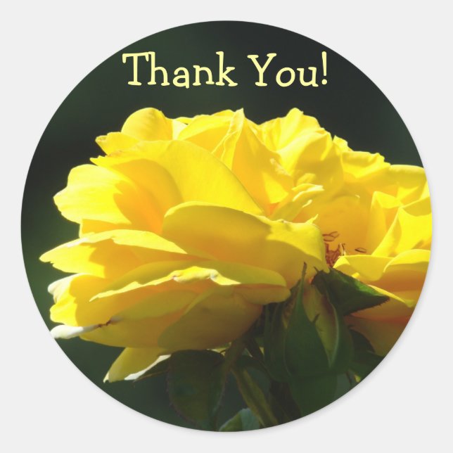 ¡Gracias! pegatinas Flores de Rosa Amarilla Brilla (Anverso)