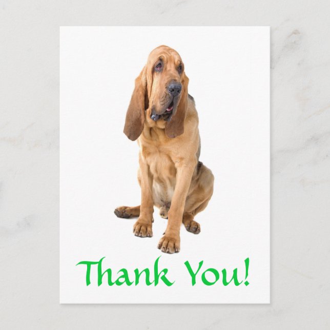 Gracias Perro sangriento tarjeta postal (Anverso)