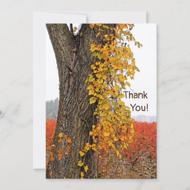 GRACIAS/PERSONALIZABLE/ÁRBOL,VINE, CAMPOS BLUEBERR (Anverso)