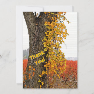 GRACIAS/PERSONALIZABLE/ÁRBOL,VINE, CAMPOS BLUEBERR