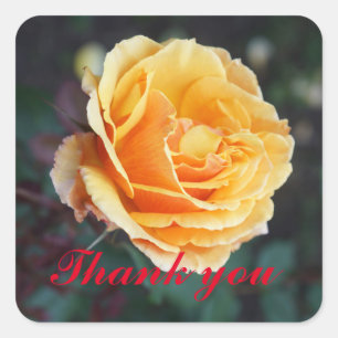 Gracias Por El Rosa #3 Pegatinas