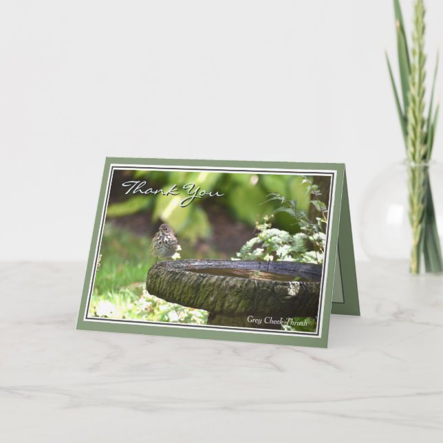 Gracias por la maravillosa tarjeta de felicitación (Anverso)