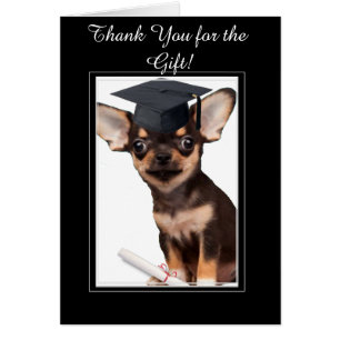 Gracias por la tarjeta Chihuahua de regalo de grad