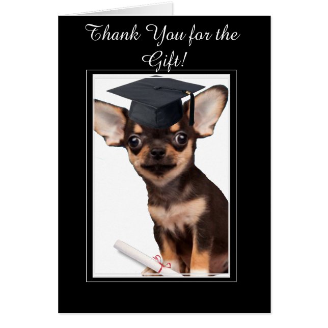 Gracias por la tarjeta Chihuahua de regalo de grad (Frente)