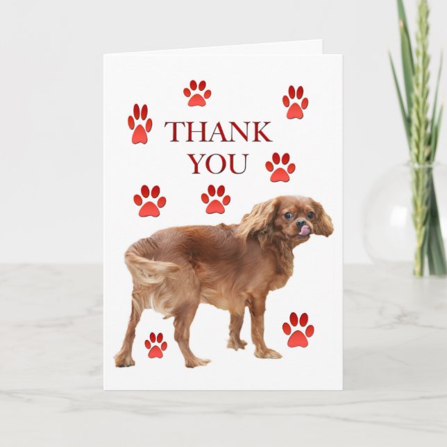 Gracias Por La Tarjeta De Saludo De Comida (Anverso)