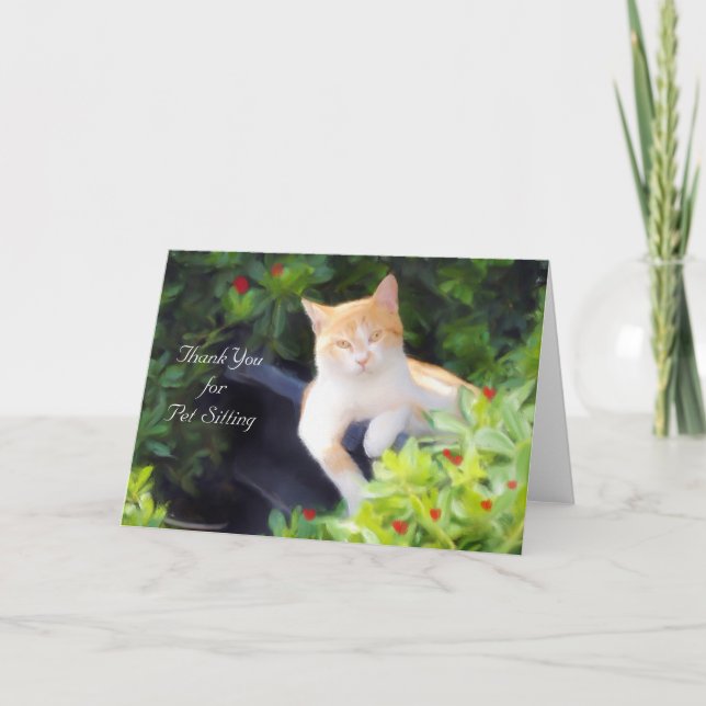 Gracias por la tarjeta de saludo de gato de Mascot (Anverso)