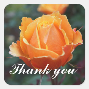 Gracias Por Los Rosas #1 Pegatinas