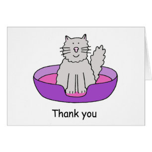 Gracias por ocuparse el gato