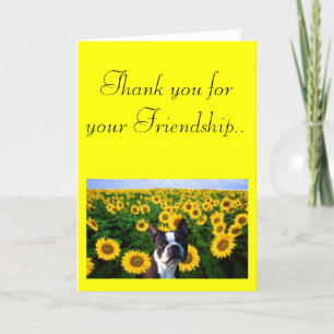 Gracias por su amistad tarjeta Boston Terrier