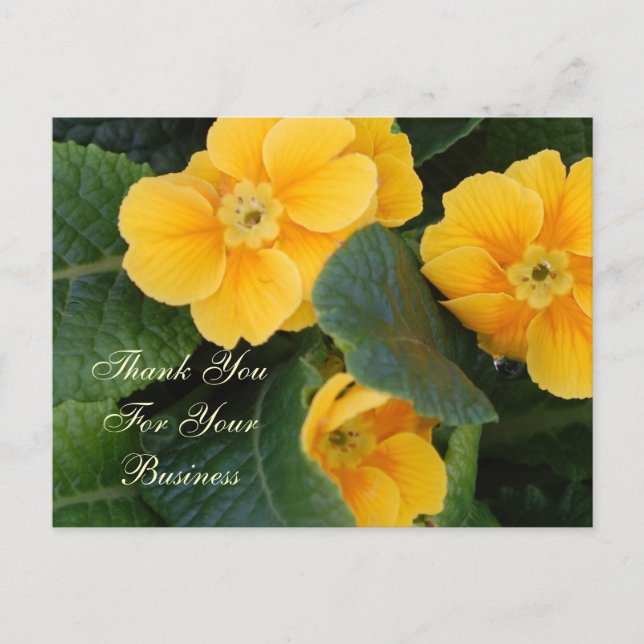 Gracias Por Su Postal empresa (Anverso)