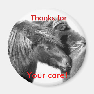 ¡Gracias por tu atención! Ponies rascando imanes