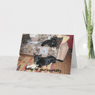 Gracias por tu tarjeta de hospitalidad (perros)