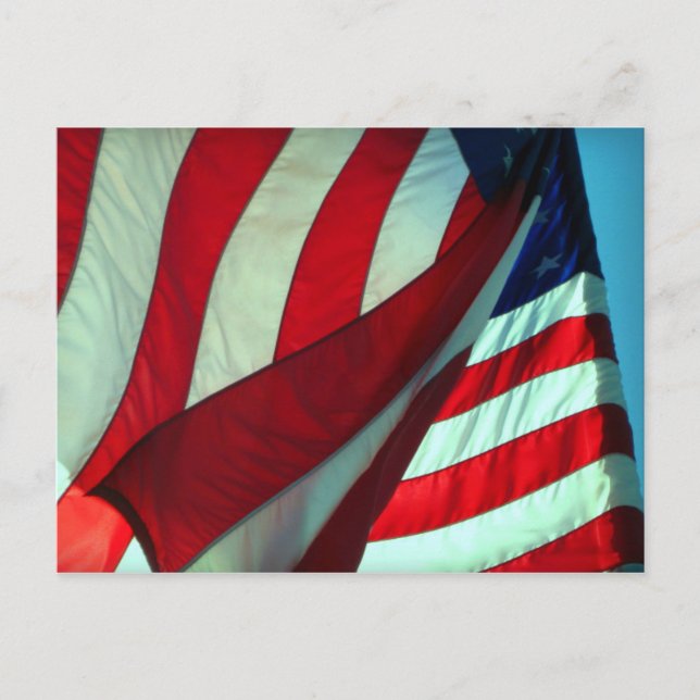 Gracias... Postal del Día de los Veteranos (Anverso)