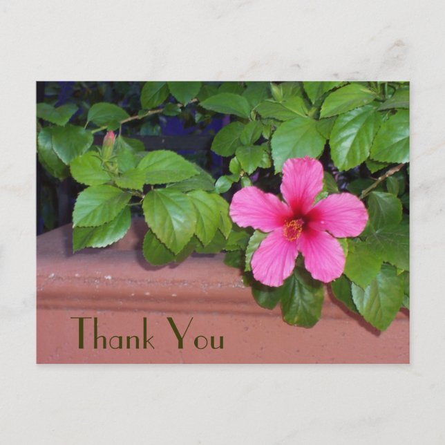 Gracias Postales De Flor Rosa (Anverso)