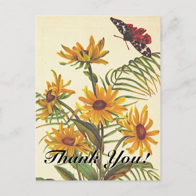 "¡Gracias!" + Postales de insectos y flores (Anverso)